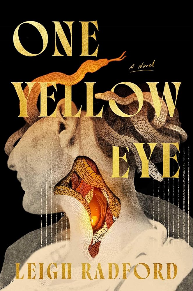One Yellow Eye - Leigh Radford - The Society for Unusual Books