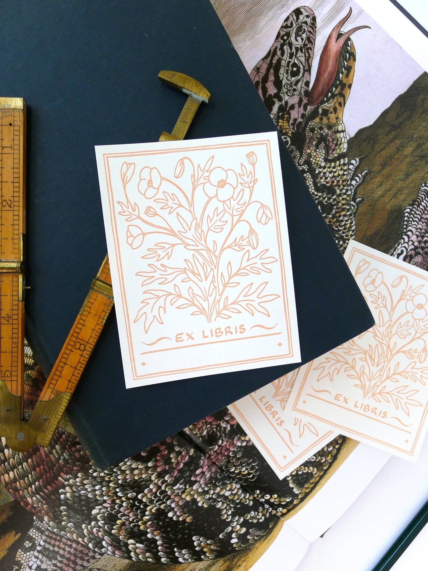 Poppy Bookplate (Set of 10) - Middle Dune - The Society for Unusual Books