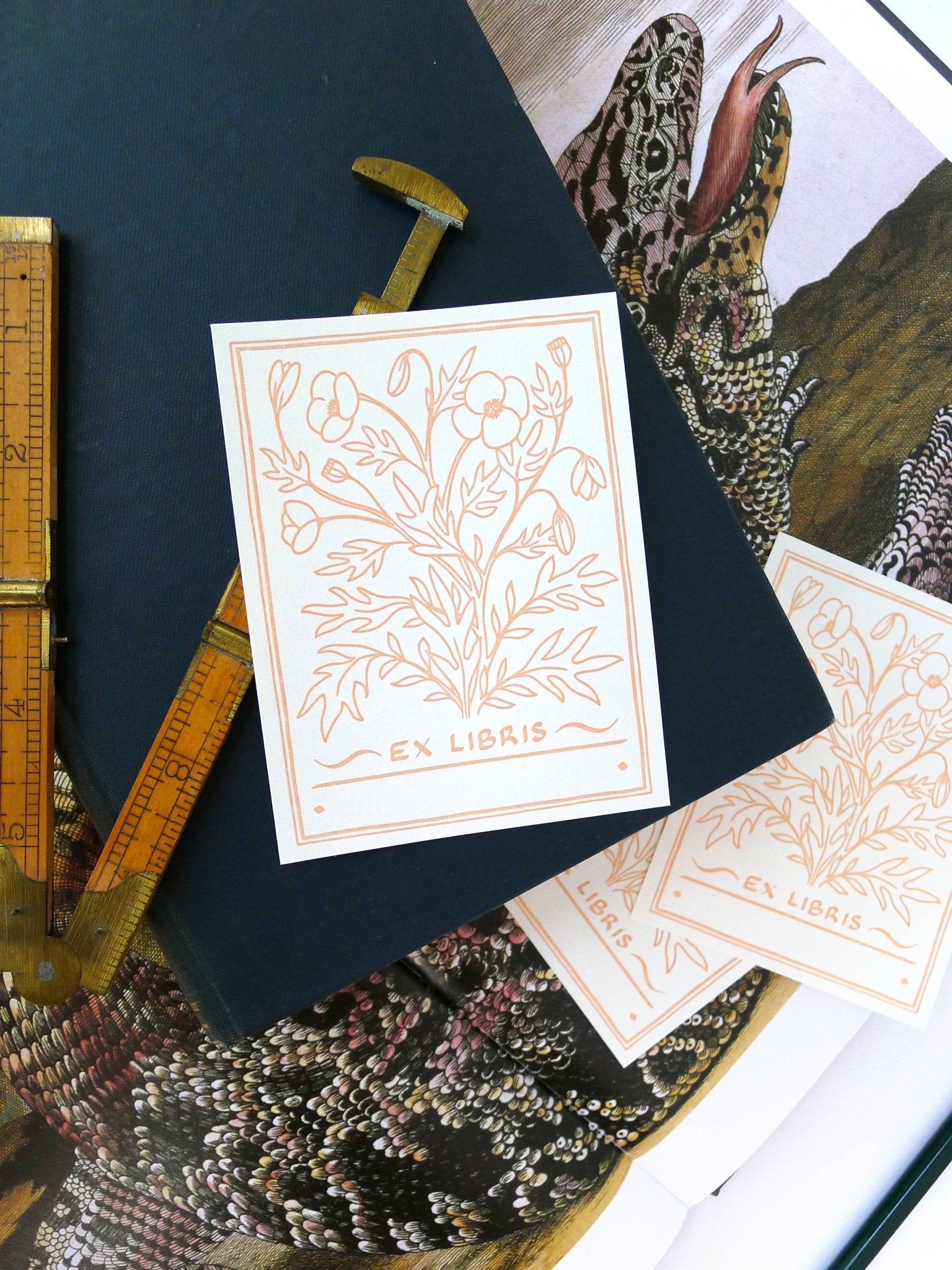 Poppy Bookplate (Set of 10) - Middle Dune - The Society for Unusual Books